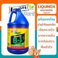 มาใหม่ ยาเร่งราก Liquinox Start B1 ถัง1แกลลอน (JUMBO) (USA) นำเข้าจากอเมริกา ฝาขาว B-1