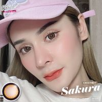 ร้านเลนส์สวยคอนแทคWink รุ่น Sakura/ สีBrown น้ำตาล นำเข้าจากเกาหลี มี อย.ไม่มีค่าสายตา(แฟชั่นสุดHit ขายดี)