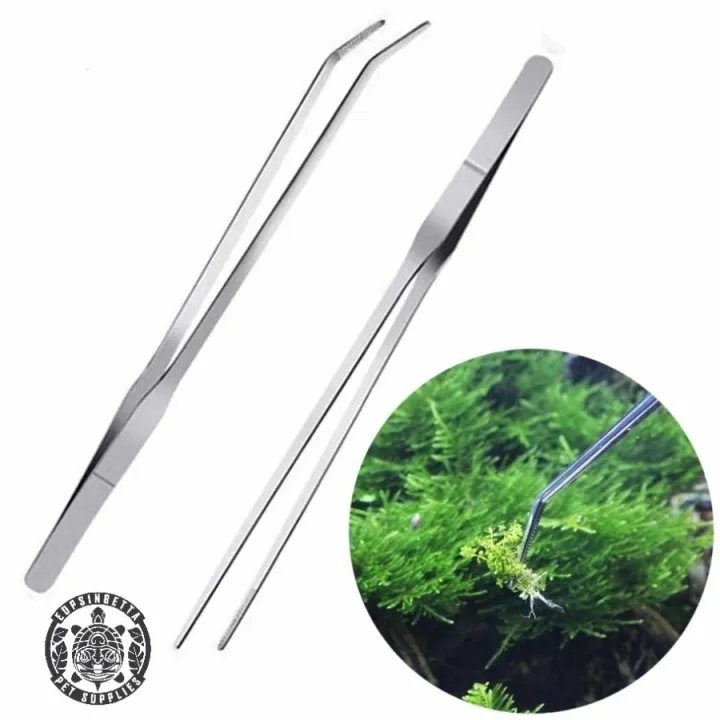 Pinset 25 cm Tweezer Aquascape Feeding Jepitan Jangkrik Ulat Lazada Indonesia