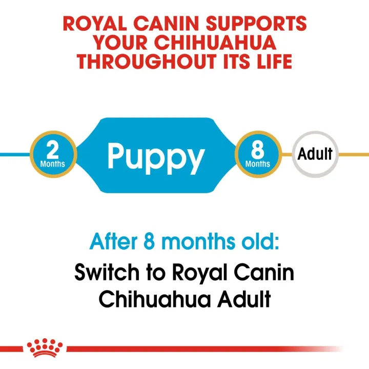 หมดอายุ11-23-royal-canin-chihuahua-puppy-500-g-สำหรับลูกสุนัข-พันธุ์ชิวาวา-อายุไม่เกิน-8-เดือน