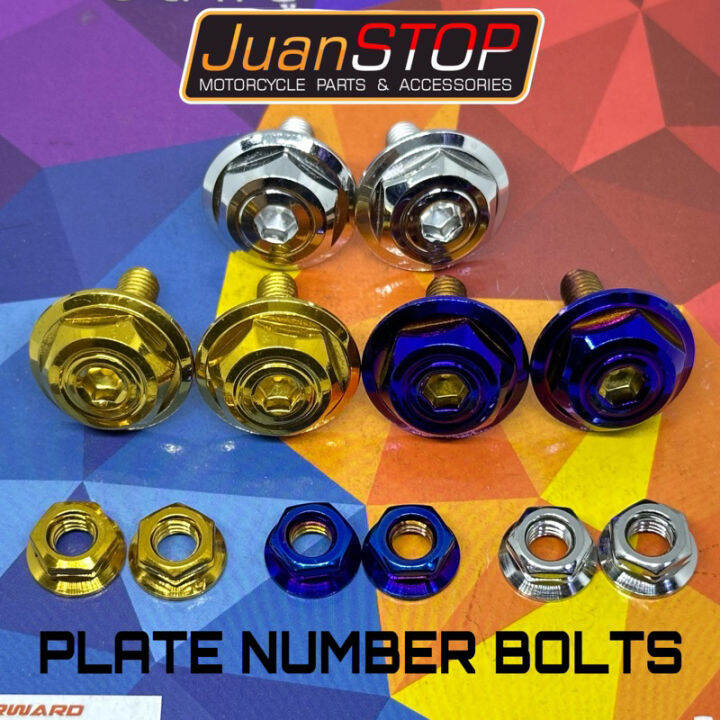 Plate Number Bolts Bighead (Pair) | Lazada PH