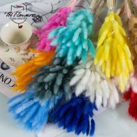 【cw】 Dried Pampas Reed Tail Gem Flowers Wedding Decoration Boho ！