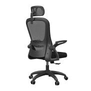 Ghế Văn Phòng Làm Việc Công Thái Học VFD11
