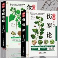 The original version of typhoid fever Zhang Zhongjing + Brief Introduction of the Golden Chamber Two TCM clinical series Libros