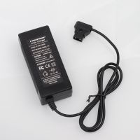 ZZOOI 16.8V 3A D-Tap Battery Charger for Camcorder V Mount / V Lock Battery Pack Camera Battery Camcorder Power Adapter dtap Plug