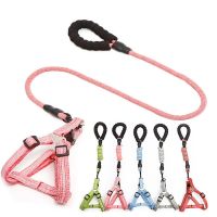 Pet traction belt Dog chain chest belt Small and medium-sized dog Dynamic rope Pet traction supplies