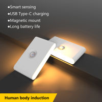 PIR USB Motion Sensor Light Cupboard Wardrobe Bed Lamp LED Under Cabinet Night Light For Closet Stairs Kitchen