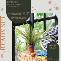 Homequarterbkk-Mellow Set-Fern ต้นเฟิร์น ชุด เซท เซ็ทพร้อมโชว์ ของตกแต่งบ้าน ต้นไม้ปลอม พร้อมกระถางสังกะสีลายพลีท ราคาต่อ 1 ชุด