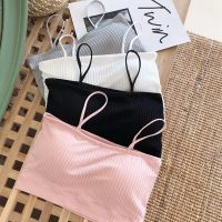 New Fashion Solid Color Thin Rimless Sports Underwear Threaded Solid Color Padded Beauty Back Elastic Thin Strap Tube Top