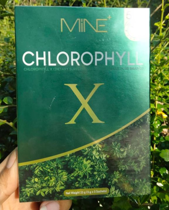 คลอโรฟิลล์-เอ็กซ์-mine-chlorophyll-x-ผลิตภัณฑ์เสริมอาหาร-คลอโรฟิลล์-เอ็กซ์-ตรา-มายน์-พลัส-1-กล่อง-มี-5-ซอง