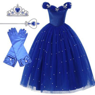 Girl Cinderella Cosplay Costume Kids Christmas Evening Dress Baby Girl Butterfly Blue Party Dress Children Halloween Vestidos