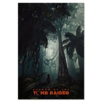 Tomb Raider: เงาของฟิล์มศิลปะ Tomb Raider พิมพ์โปสเตอร์ผ้าไหมของตกแต่งผนังบ้าน24X36นิ้ว0726