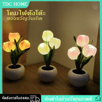 ของขวัญวันเกิด ไฟดอกไม้ กลางคืน โคมไฟตั้งโต๊ะ led ทิวลิป ไฟห้องนอน ไฟตกแต่งห้อง แบตอึดอยู่ได้ 40 ชม. ฟรีแบตเตอรี่ 2 ก้อน ไฟห้องนอน