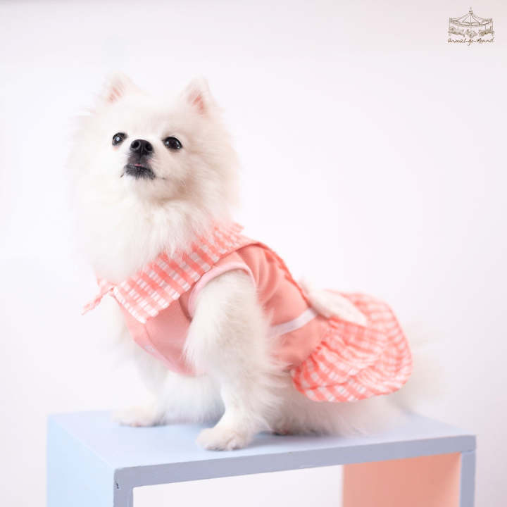 animal-go-round-เสื้อผ้าเครื่องแต่งกาย-สัตว์เลี้ยง-หมา-แมว-สุนัข-รุ่น-new-bunny-pink-girl