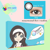 Maxim Colors contact lens คอนแทคเลนส์ตาสวย กล่องฟ้า สีเทา รายเดือน (1 คู่/2 ชิ้น)