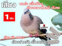 เสียง นกเขาต่อ นาน 1 ชั่วโมง USB แฟลชไดร์ฟ สำหรับ ใช้ล่อนกเขา หมานๆๆ