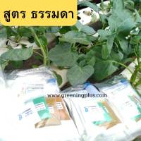 ปุ๋ยแห้ง AB สูตรธรรมดา 50 ลิตร