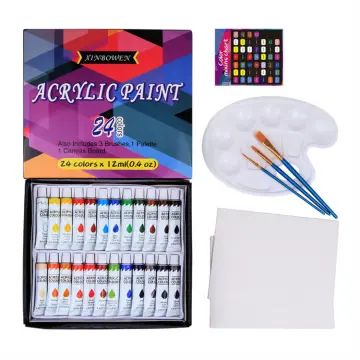 Acrylic paint Set 24colors (12ml, 0.4 oz) with 3 Pieces Brushes