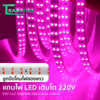 20 เมตร 220Vไฟเส้นปลูกต้นไม้ LED ลูกปัด Diwali 2 ชิ้น ไฟเส้นปลูกต้นไม้ ช่วยทำใบ ทำดอก ตัดได้ ยืดหยุ่น เปลี่ยนฟรี