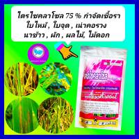 ไตรไซคลาโซล 100 กรัม ยาเชื้อรา โรคใบไหม้ โรคใบจุด สารป้องกันกำจัดโรคพืช เชื้อรา ใบไหม้ ใบจุด กำจัดโรคเน่า โคนเน่า  เน่าคอรวง บีม