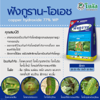 ฟังกูราน-โอเอช คอปเปอร์ ไฮดรอกไซด์ บรรจุ 1 กิโลกรัม สารป้องกันกำจัดโรคพืชที่เกิดจากเชื้อราและแบคทีเรียได้อย่างดีเยี่ยม สูตรทนฝน