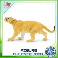 Safari Ltd. : SFR113189 โมเดลเสือ Puma concolor Model Action Figure Cartoon แอกชั่น ฟิกเกอร์ ของเล่น ของสะสม ของเล่นเด็ก ตุ๊กตา Mamy and Buddy