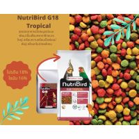 NutriBird G18 Tropical อาหารนก แบ่งขาย (500กรัม,1 กิโลกรัม)