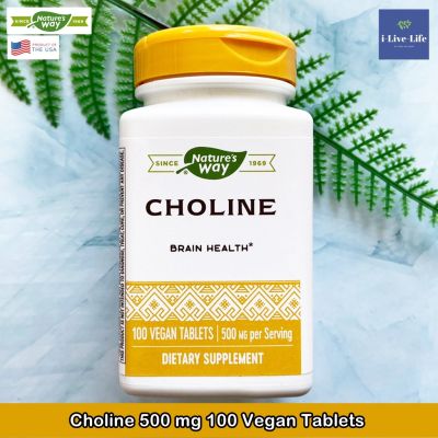 โคลีน Choline 500 mg 100 Vegan Tablets - Natures Way