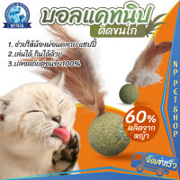 ?? ลูกบอลกัญชาแมว ขนไก่ - Catnip Ball บอลแคทนิปแมวขนนก