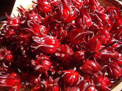 เมล็ดกระเจี๊ยบแดง พันธุ์ดอกใหญ่ บรรจุซองละ120เมล็ด