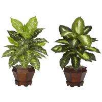 Dieffenbachia With Wood Vase พืชประดิษฐ์,ชุด2, Variegated