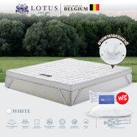 LOTUS ที่นอนยางพาราแน่นสบาย รุ่น Forestex III - White หนา 4 นิ้ว ฟรีหมอนหนุนสุขภาพ ส่งฟรี