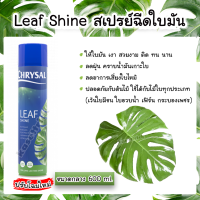 สเปรย์ฉีดใบมัน แท้100% คริสซอล 600 มล. (Chrysal Leaf Shine) สเปรย์ฉีดใบมัน สเปรย์ใบมัน