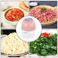 【CC】□☈  250ml Food Garlic Masher Electric Vegetable USB Charging Mixer Grinder