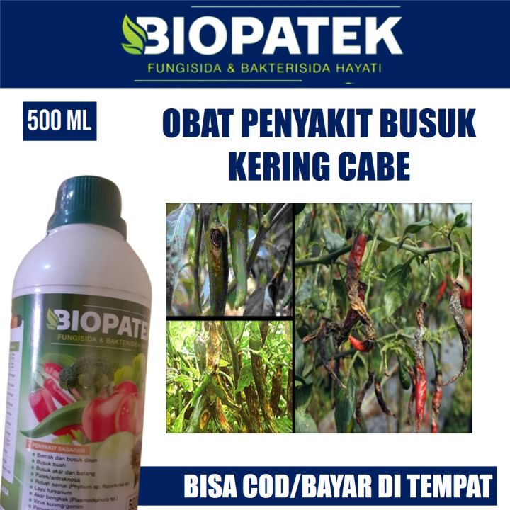 [REKOMENDED] BIOPATEK 500 ML OBAT BUSUK CABE, PUPUK SEMPROT BUSUK DAN