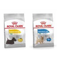 Royal Canin Mini อาหารสำหรับสุนัขโตพันธุ์เล็ก ที่ต้องการดูแลเป็นพิเศษ อายุ 10 เดือนขึ้นไป 2 สูตร 8 KG