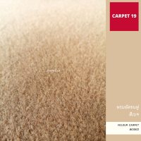 ☁️☁️นุ่มมาก!! CARPET19 พรมอัดขนฟู สีเบจ Velour Carpet หนาแน่น 500 ก/ตรม.กว้าง 1 และ 2 เมตร เลือกความยาวในตัวเลือกสินค้า พรมปูพื้น พรมปูบ้าน พรมห้องนอน