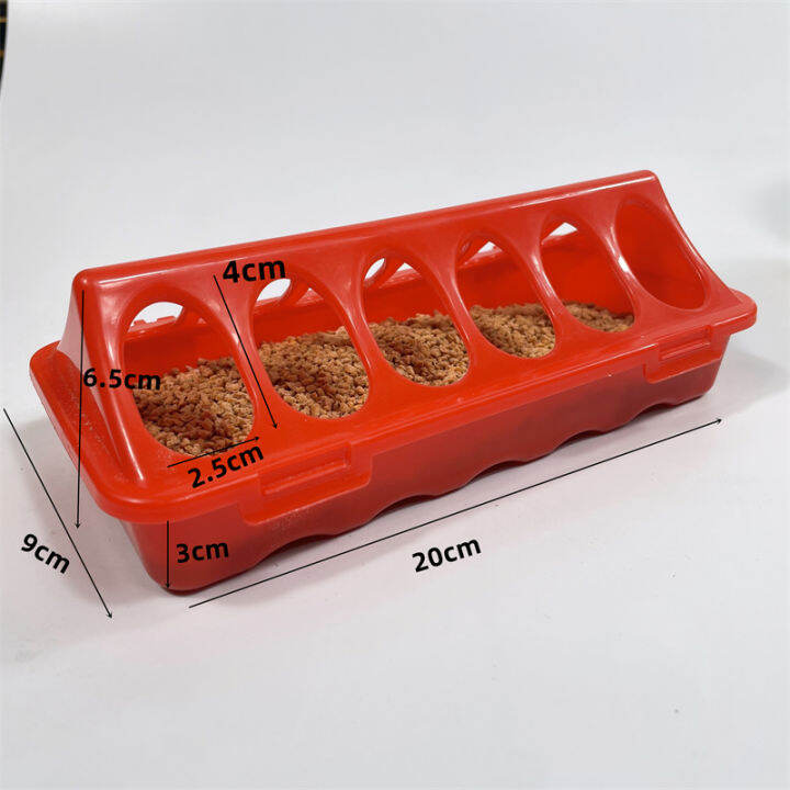 Pigeon water dispenser automatic water feeding kettle carrier pigeon supplies parrot feeder bird