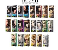 [โทนเทา] Dcash ดีแคช โปรเฟสชันนอล มาสเตอร์ คัลเลอร์ ครีม 60ml. [Ash Tone] Professional Master Color Cream