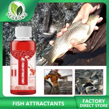 Natural Bait Scent Fish Attractants For Baits, Fishing Attractants, Fish  Lure Additive Spray, High Concentration Fish Bait Attractant Enhance