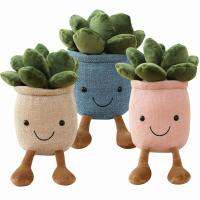 พืชของเล่นตุ๊กตา,พืชตุ๊กตาสัตว์ Succulents ตุ๊กตาหมอนตกแต่ง,พืชนุ่มหมอนตุ๊กตา,Succulents พืชโยนหมอนของขวัญสำหรับเด็กหนุ่มๆสาวๆ