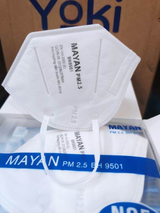 n95 mayan