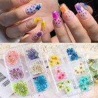 【hot sale】 ♕ B50 2023 New Dried Flowers Nails Art Decoration Artificial Floral Leaf Press On Nails Manicure Stickers Accessories