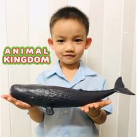 Animal Kingdom - โมเดล วาฬสเปิร์ม ขนาด 34.00 CM แบบนิ่ม (จากสงขลา)