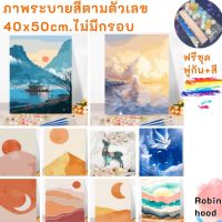 ?พร้อมส่ง?ภาพระบายสีตามตัวเลข มินิมอลไตล์ ขนาด 40x50 ซม. ภาพวาดระบายสี ของขวัญ แต่งบ้าน ภาพมงคล ไม่มีเฟรมไม้ มินิมอล