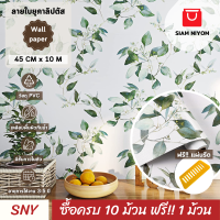 Siam Niyom สยามนิยม วอลเปเปอร์ติดผนัง ลายใบยูคาลิปตัส วอลเปเปอร์ วอลเปเปอร์ผนัง wallpaper ติดผนัง wallpaper wallpaper ติดผนังปูน วอลเปเปอร์ ติด ผนัง