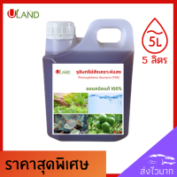 Uland หัวเชื้อจุลินทรีย์แสง แกลอน 5 ลิตร สูตรเข้มข้น นำไปขยายเพิ่มได้ง่ายนิดเดียว ปรับสภาพดิน เพิ่มผลผลิต เพิ่มธาตุอาหาร ดูแลพืช