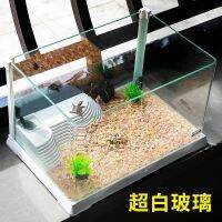 [COD] Ultra-white turtle tank glass with sun terrace to raise home amphibious