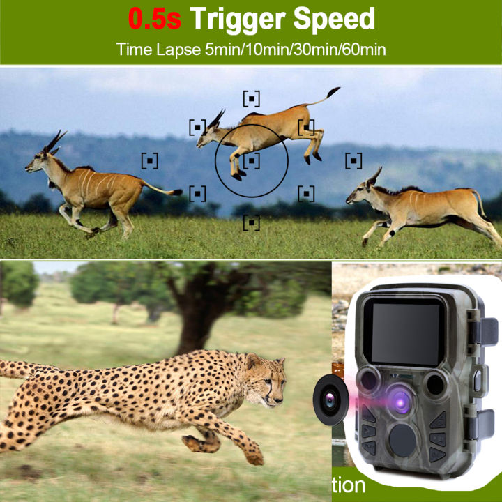 mini-trail-เกมกล้อง-night-vision-1080p-12mp-กันน้ำล่าสัตว์กล้องกลางแจ้ง-wild-photo-traps-ir-leds-ช่วง65ft