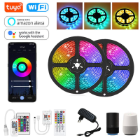 RGB Led Strip Lights Tuya WIFI Controller kit 5050 RGB Led Strip 12V Lamp Ribbon Backlight For Room Bedroom Alexa Magic Home